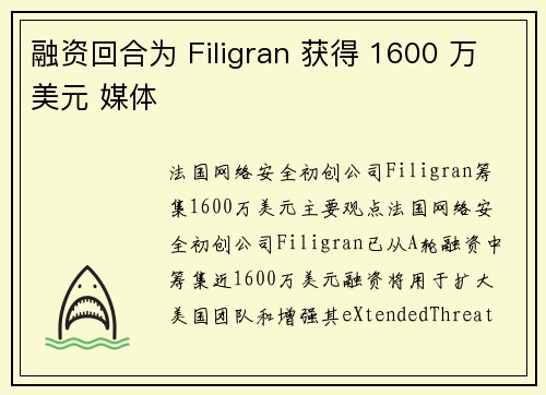 融资回合为 Filigran 获得 1600 万美元 媒体