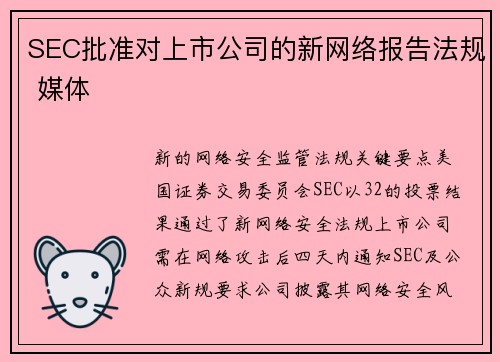 SEC批准对上市公司的新网络报告法规 媒体