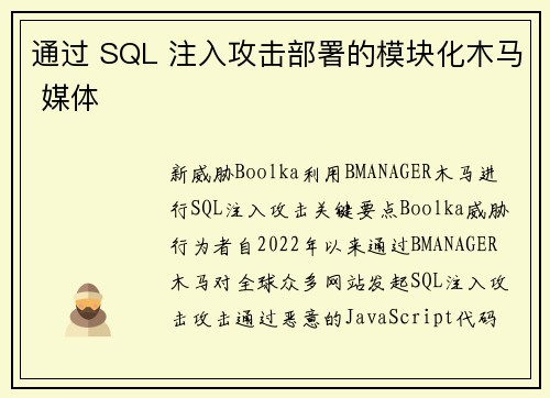 通过 SQL 注入攻击部署的模块化木马 媒体