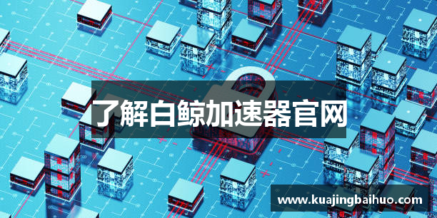 了解白鲸加速器官网
